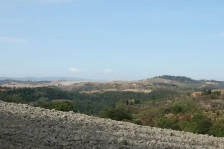 Maison viticole avec piscine à Montaione : photo 16