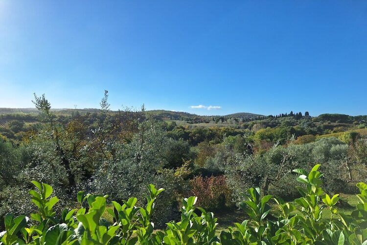 Maison en domaine viticole toscan avec piscine - Photo 17