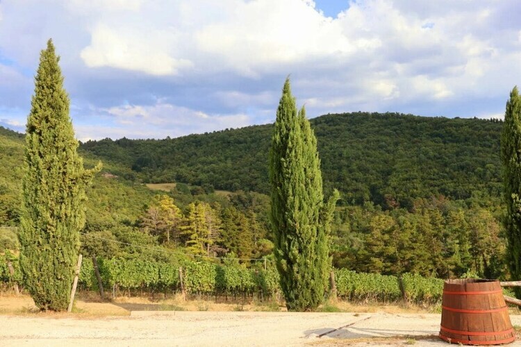 Maison historique Mugello, 4 pers., vue campagne - Photo 23