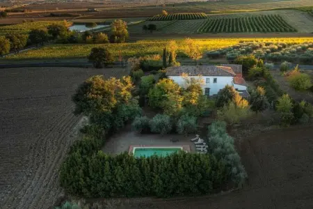 Villa La Meridiana - Toscane, piscine et vue collines : photo 37