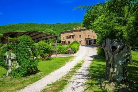 Casale Aiola : maison 18 pers. avec piscine à Cortona : photo 3