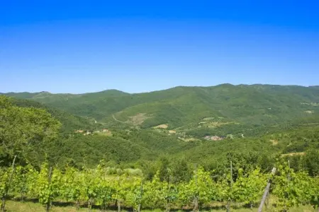 Villa Borgo Antico, 7 chambres avec piscine à Cortona : photo 10