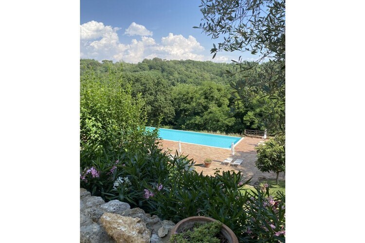 Maison toscane 6 pers. à San Gimignano, oliviers et terrasse - Photo 7