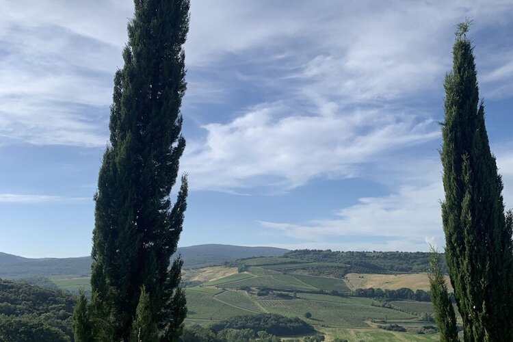 Maison toscane 6 pers. à San Gimignano, oliviers et terrasse - Photo 14