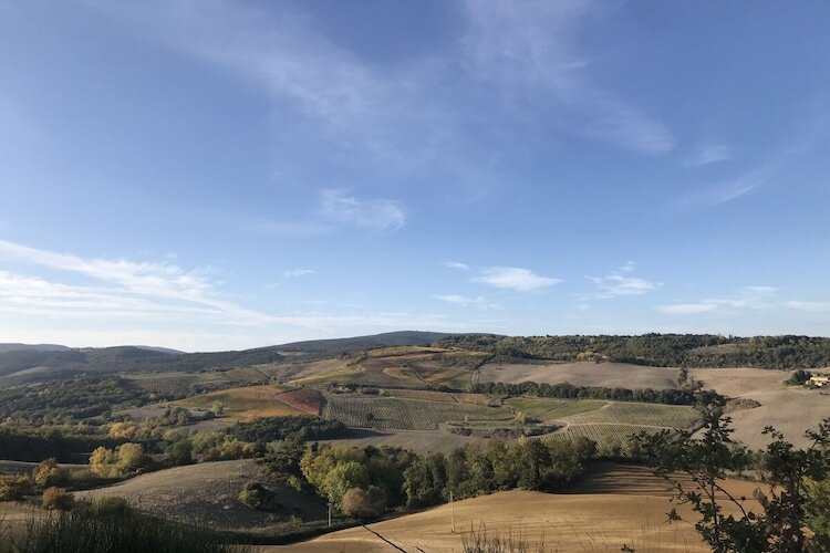 Maison toscane 6 pers. à San Gimignano, oliviers et terrasse - Photo 16