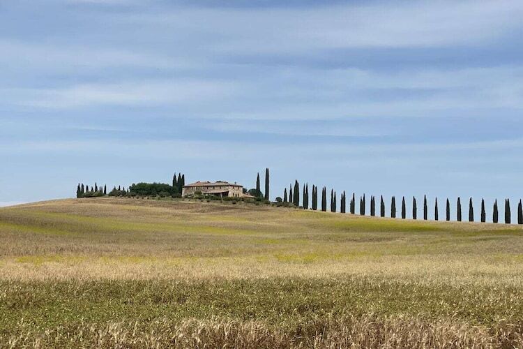 Maison toscane 6 pers. à San Gimignano, oliviers et terrasse - Photo 33