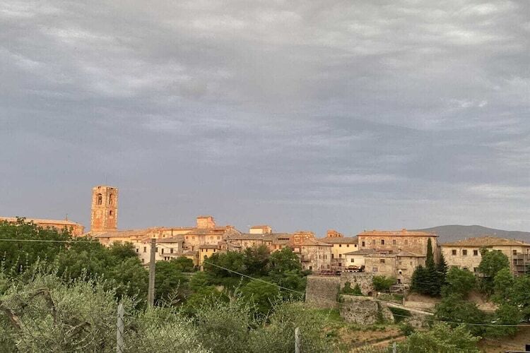 Maison toscane 6 pers. à San Gimignano, oliviers et terrasse - Photo 34