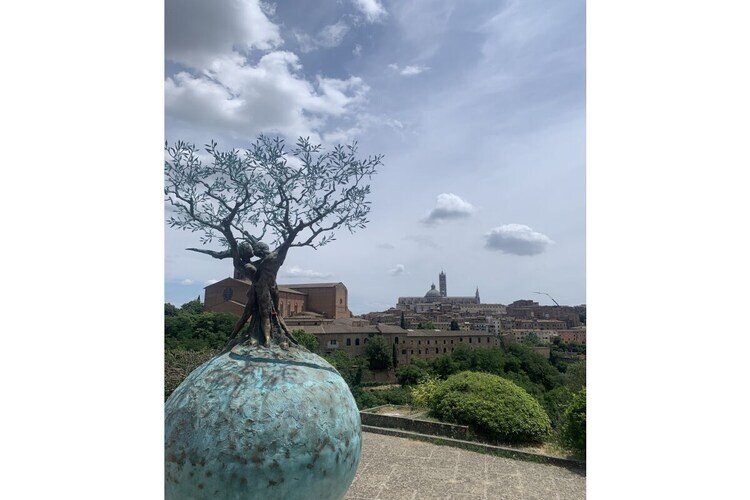 Maison toscane 6 pers. à San Gimignano, oliviers et terrasse - Photo 35