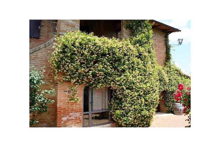 Podere Gelsomino : villa toscane 9 chambres, piscine - Photo 2