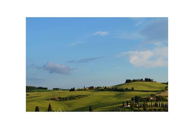 Podere Gelsomino : villa toscane 9 chambres, piscine - Photo 20