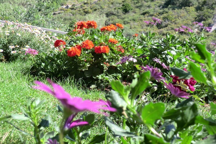 Maison Cavallina à Seccheto : vue mer et jardin - Photo 33