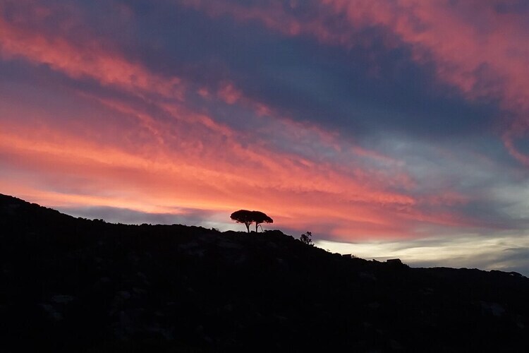 Maison Cavallina à Seccheto : vue mer et jardin - Photo 35