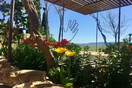 Maison toscane avec terrasse vue campagne à Morrona : photo 12