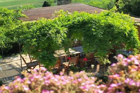 Maison toscane avec terrasse vue campagne à Morrona : photo 28