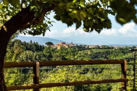 Maison Castello - Piscine et terrasse en Toscane : photo 4