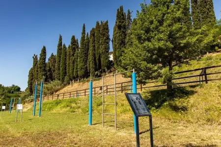 Maison Castello - Piscine et terrasse en Toscane : photo 7