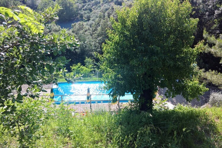 Maison 3 pièces avec terrasse et piscine à Pastina - Photo 5
