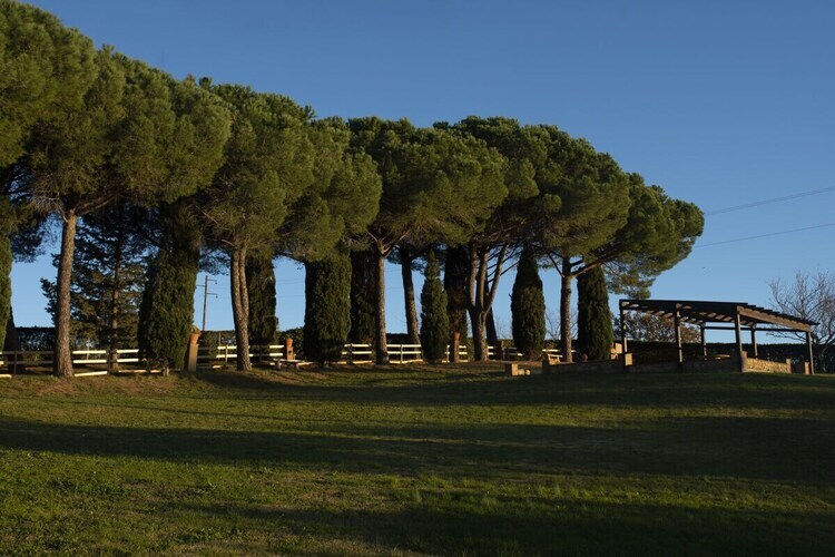 Villa Blick, maison 8 pers. en Toscane, vue mer - Photo 33