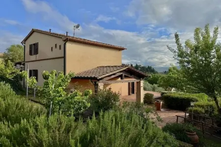 Villa Pomarance piscine 5x8m et oliveraie privée : photo 4