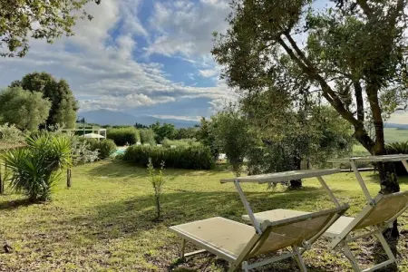 Villa Pomarance piscine 5x8m et oliveraie privée : photo 11