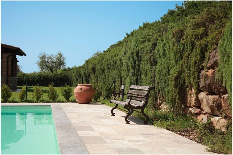 Villa avec piscine et jacuzzi à Bagno di Gavorrano - Photo 14