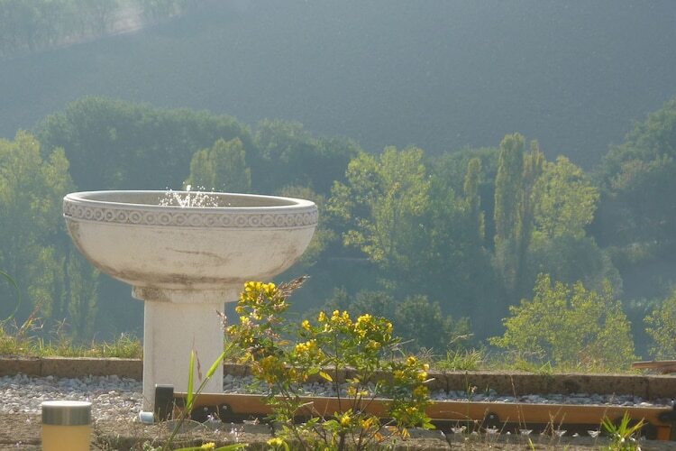 Maison Stalla à Montecarotto avec piscine - Photo 14