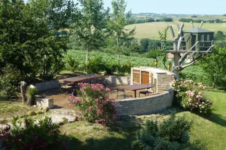 Maison Terrazza à Montecarotto : piscine, trampoline, 1 hectare : photo 4