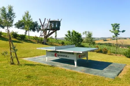 Maison Terrazza à Montecarotto : piscine, trampoline, 1 hectare : photo 20