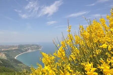 Casa Terra – Maison 4 pers. avec piscine à Monte San Vito : photo 17