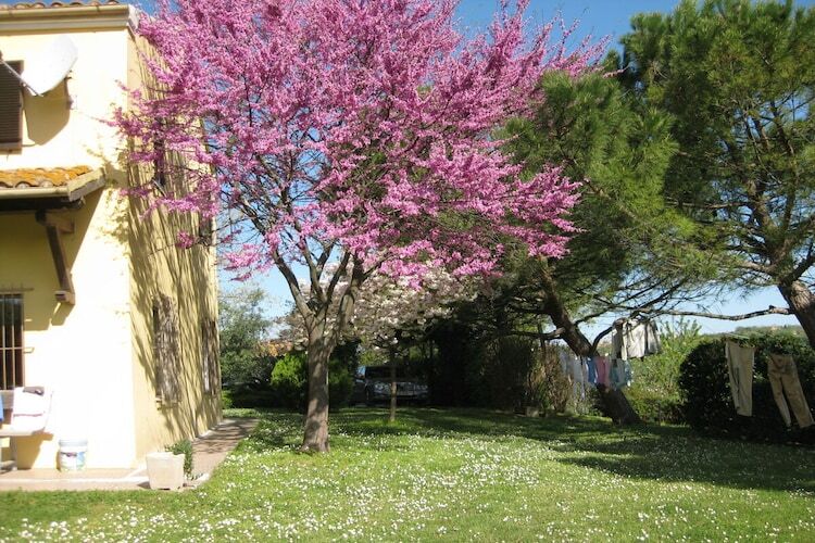Maison 10 pers. vue mer et Mondolfo, terrain 2800 m² - Photo 3
