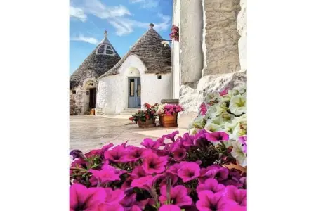 Trullo del Mandarino avec piscine privée : photo 39