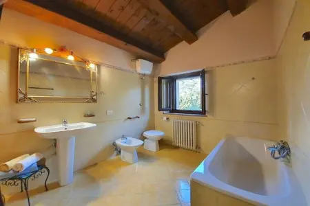 Villa 18 personnes aux Marches avec piscine et wifi : photo 30