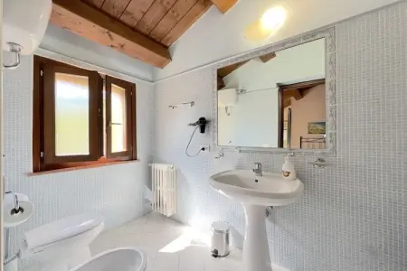 Villa 18 personnes aux Marches avec piscine et wifi : photo 31