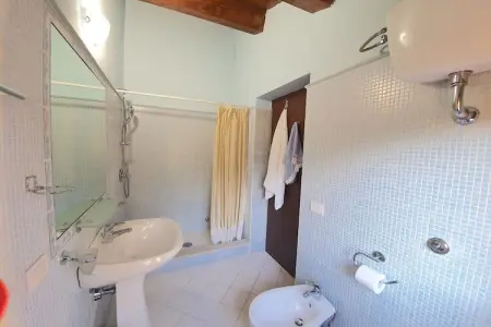 Villa 18 personnes aux Marches avec piscine et wifi : photo 32