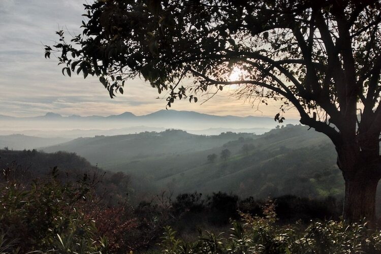 Rustico restauré avec vue Gran Sasso à Ripatransone - Photo 7