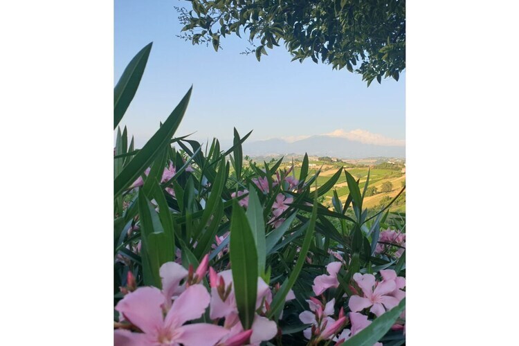 Rustico restauré avec vue Gran Sasso à Ripatransone - Photo 10