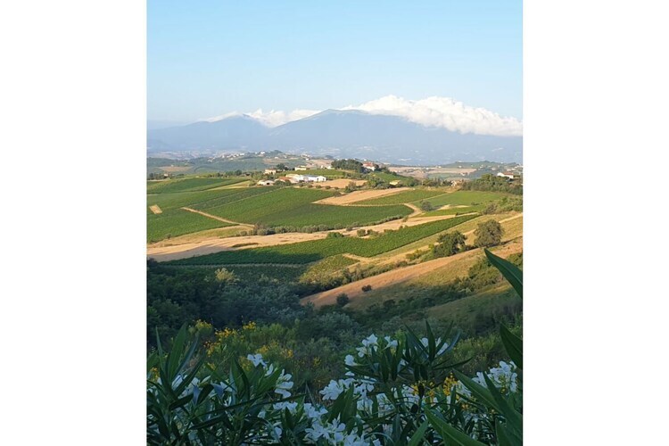 Rustico restauré avec vue Gran Sasso à Ripatransone - Photo 12