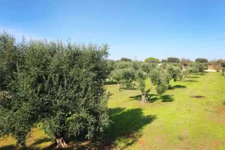 Gîte rénové 4 pers. avec piscine privée à Manduria : photo 31