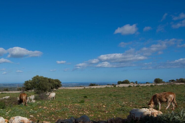 Gîte 200m² vue Etna et littoral, 6 personnes à Siracusa - Photo 20