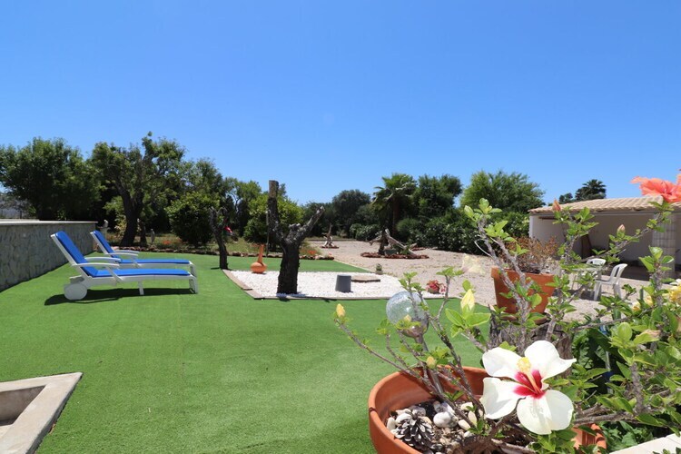 Grande ferme avec piscine et jardin à Tunes - Photo 9