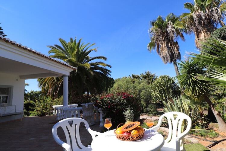 Maison 4 pers. avec piscine et jardin d'1 hectare à Lagoa - Photo 11