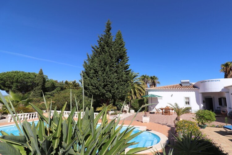 Maison 4 pers. avec piscine et jardin d'1 hectare à Lagoa - Photo 14