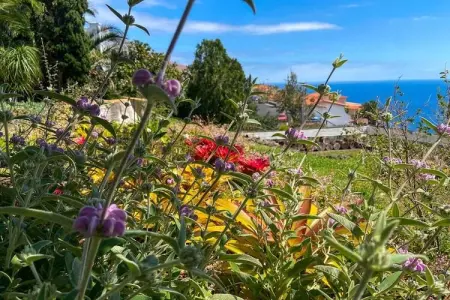 Maison vue mer à Garajau, 2 pers., terrasse panoramique : photo 5