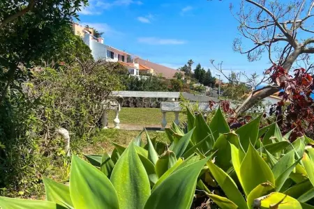 Maison vue mer à Garajau, 2 pers., terrasse panoramique : photo 23