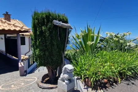 Maison vue océan à 320 m d'altitude, Estreito da Calheta : photo 11