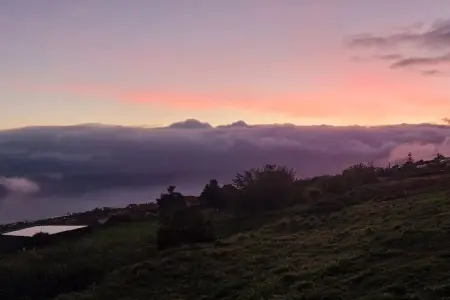 Maison vue océan à 320 m d'altitude, Estreito da Calheta : photo 15