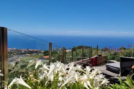 Maison vue océan à 320 m d'altitude, Estreito da Calheta : photo 17