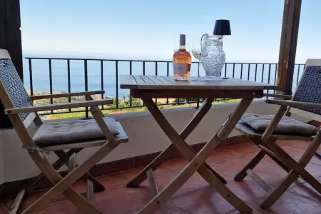 Maison vue océan à 320 m d'altitude, Estreito da Calheta : photo 27