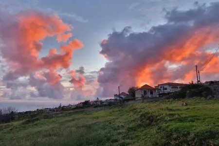 Maison vue océan à 320 m d'altitude, Estreito da Calheta : photo 33