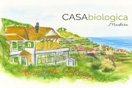 Maison vue océan à 320 m d'altitude, Estreito da Calheta : photo 39